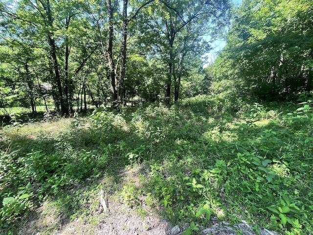 2400 Chicken Creek Rd, Pulaski, TN 38478