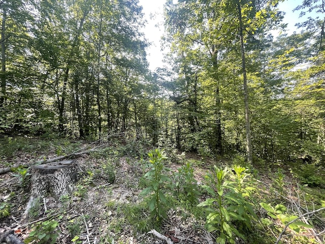 2400 Chicken Creek Rd, Pulaski, TN 38478