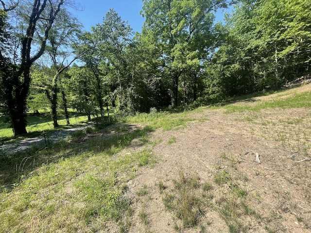 2400 Chicken Creek Rd, Pulaski, TN 38478