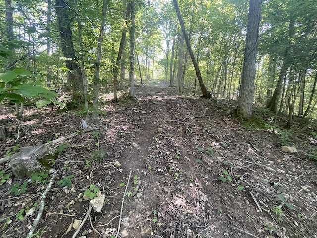 2400 Chicken Creek Rd, Pulaski, TN 38478