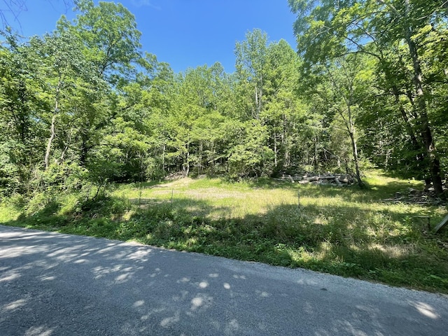 2400 Chicken Creek Rd, Pulaski, TN 38478