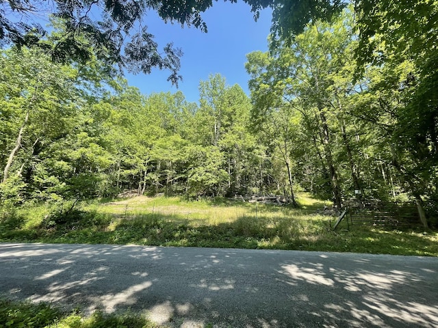 2400 Chicken Creek Rd, Pulaski, TN 38478
