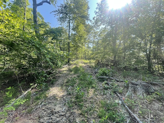 2400 Chicken Creek Rd, Pulaski, TN 38478