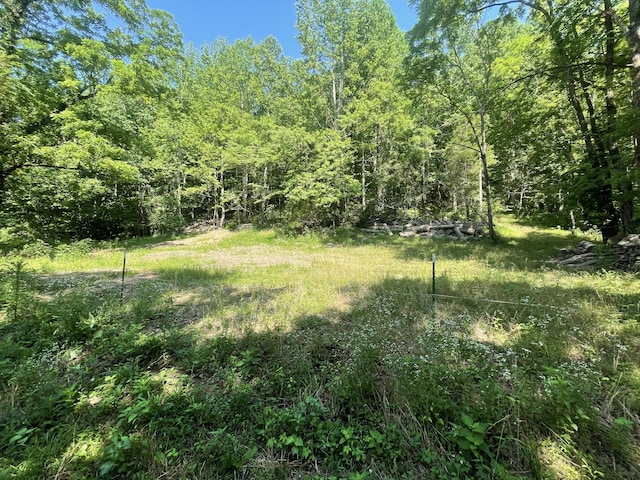 2400 Chicken Creek Rd, Pulaski, TN 38478