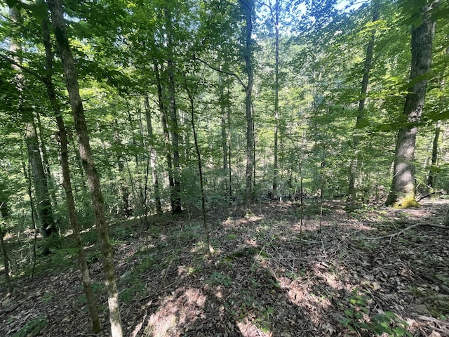 2400 Chicken Creek Rd, Pulaski, TN 38478