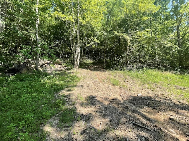 2400 Chicken Creek Rd, Pulaski, TN 38478