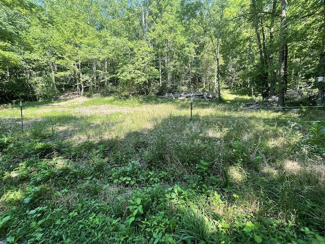 2400 Chicken Creek Rd, Pulaski, TN 38478