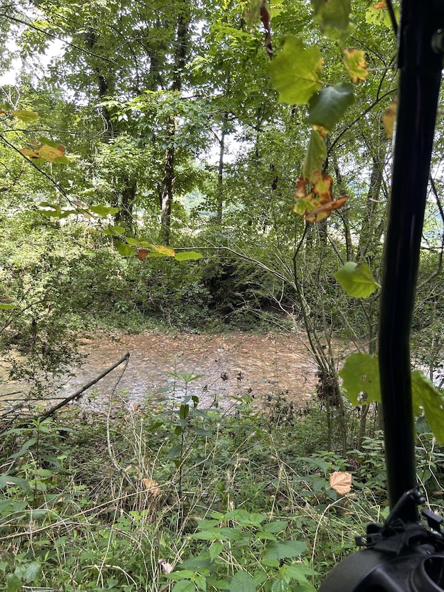 2400 Chicken Creek Rd, Pulaski, TN 38478