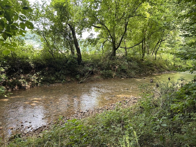 2400 Chicken Creek Rd, Pulaski, TN 38478