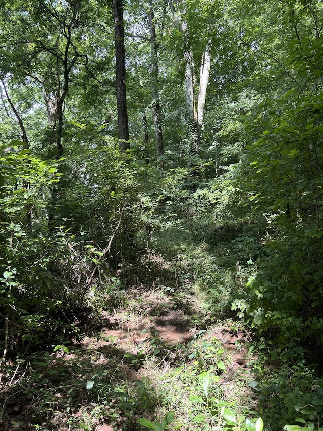 2400 Chicken Creek Rd, Pulaski, TN 38478