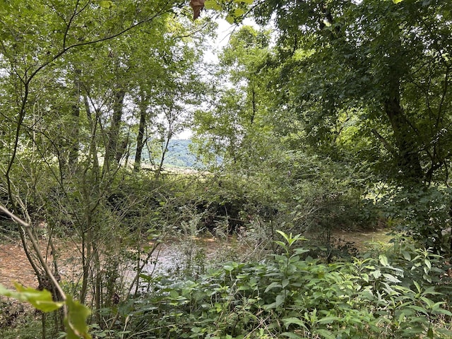 2400 Chicken Creek Rd, Pulaski, TN 38478