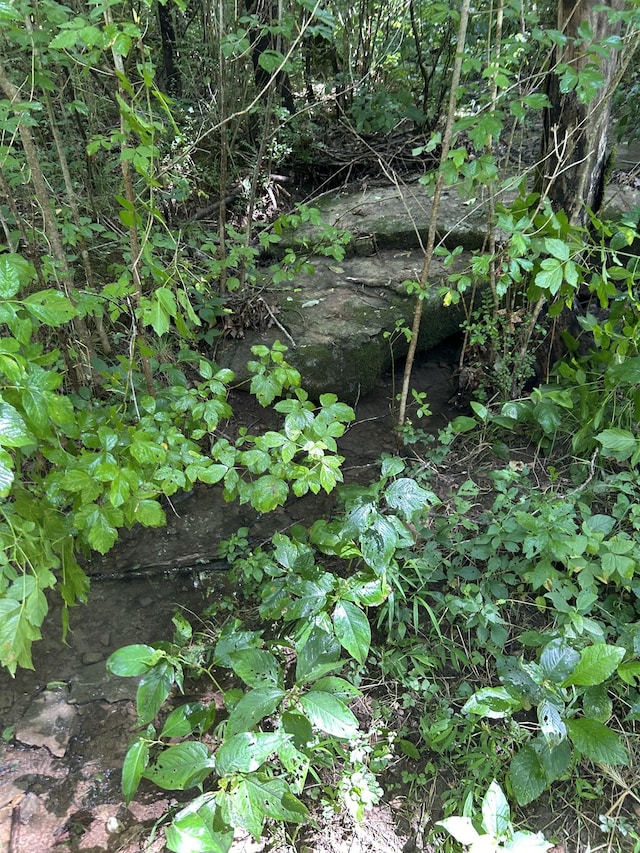 2400 Chicken Creek Rd, Pulaski, TN 38478