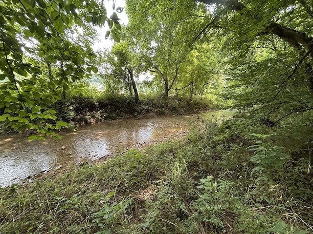 2400 Chicken Creek Rd, Pulaski, TN 38478