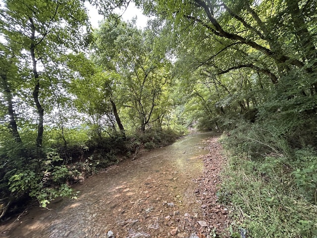 2400 Chicken Creek Rd, Pulaski, TN 38478