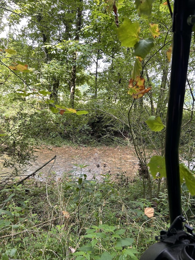 2400 Chicken Creek Rd, Pulaski, TN 38478