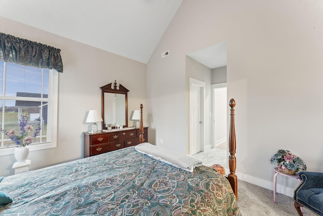 506 Bill Fuson Rd, Mcminnville, TN 37110 - bedroom with carpet and high vaulted ceiling