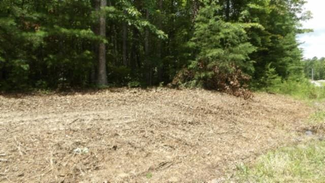 0 Hilltop Ln, Wilder, TN 38589