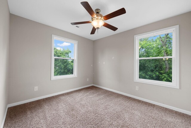 110 Jordan Rd, Clarksville, TN 37042 - photo 16
