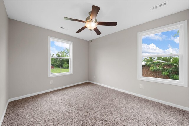 110 Jordan Rd, Clarksville, TN 37042 - photo 21