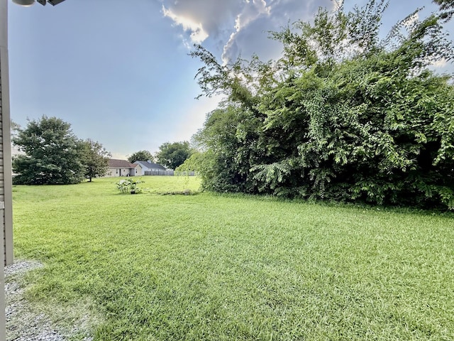 1252 Azure Way, Murfreesboro, TN 37128 - view of green lawn