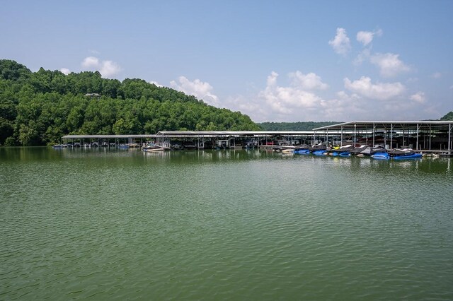 0 W Park Dr, Smithville, TN 37166 - photo 23