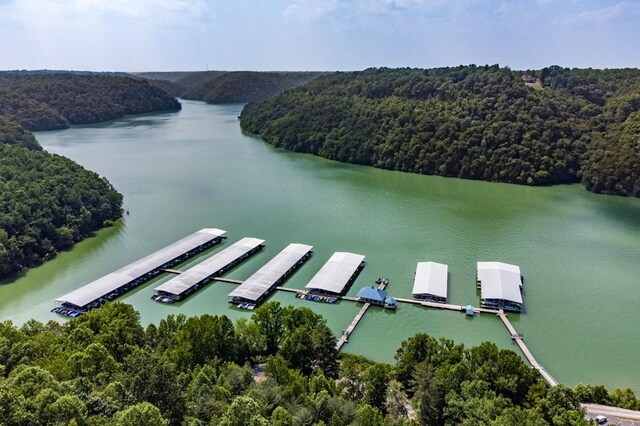 0 W Park Dr, Smithville, TN 37166 - photo 24