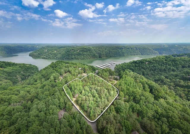 0 W Park Dr, Smithville, TN 37166 - photo 1