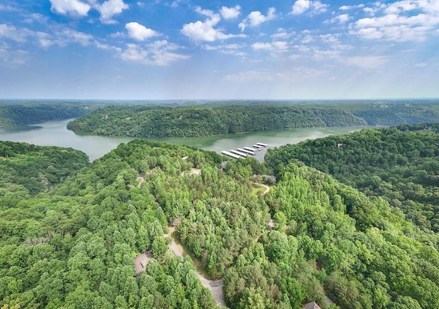 0 W Park Dr, Smithville, TN 37166 - photo 6