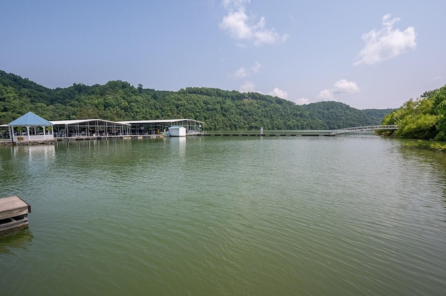 0 W Park Dr, Smithville, TN 37166 - photo 19