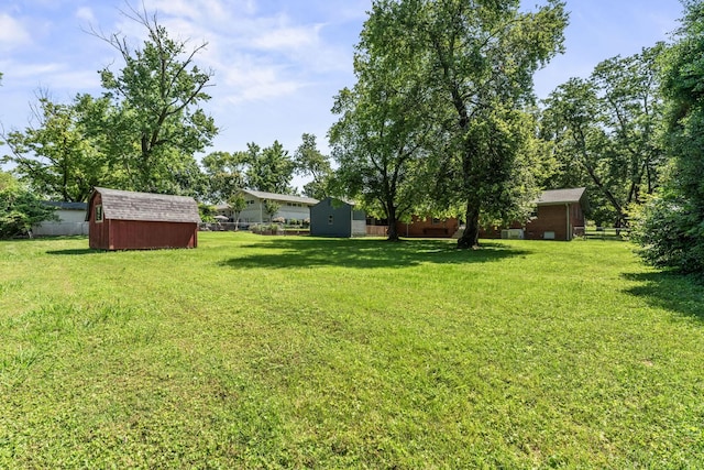 1006 Houston Dr, Murfreesboro, TN 37130 - view of yard featuring a shed