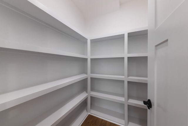 19 Peyton Pl, Columbia, TN 38401 - view of pantry