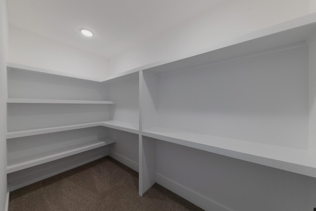 19 Peyton Pl, Columbia, TN 38401 - view of storage area