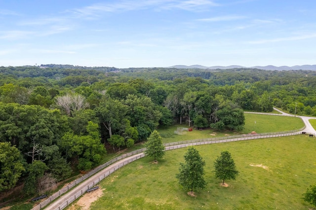 2292 Mcfarlin Rd, Nolensville, TN 37135 - photo 38
