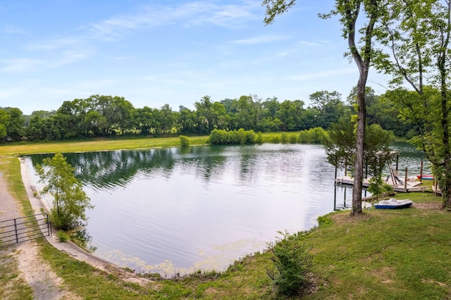 2292 Mcfarlin Rd, Nolensville, TN 37135 - photo 32
