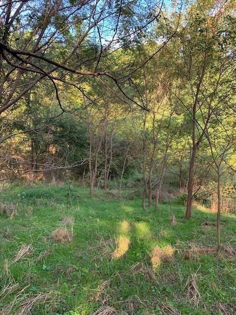 340 Cortner Hollow Rd, Petersburg, TN 37144