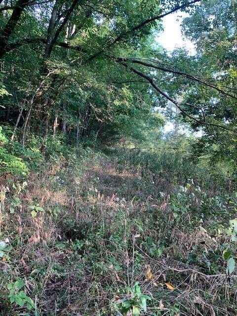 340 Cortner Hollow Rd, Petersburg, TN 37144