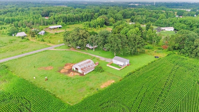 135 Campbellsville Pike, Ethridge, TN 38456 - view of rural area with extensive farmland