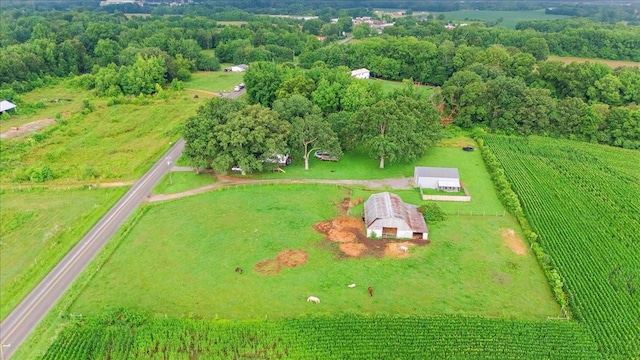 135 Campbellsville Pike, Ethridge, TN 38456 - view of rural area with abundant farmland