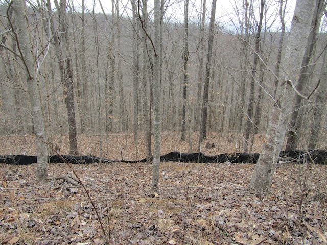 0 Bobcat Ln, Wilder, TN 38589 - photo 2