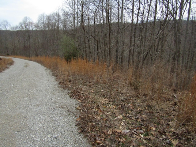 0 Bobcat Ln, Wilder, TN 38589 - photo 15