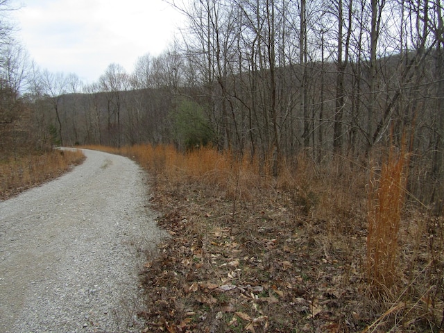 0 Bobcat Ln, Wilder, TN 38589 - photo 14