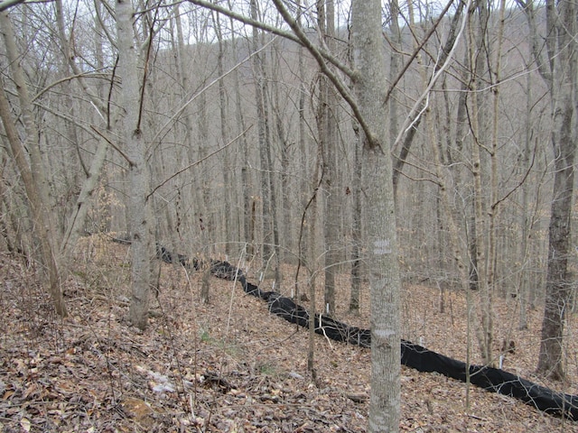 0 Bobcat Ln, Wilder, TN 38589 - photo 8