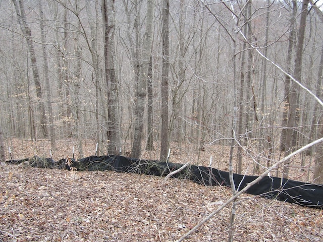 0 Bobcat Ln, Wilder, TN 38589 - photo 9