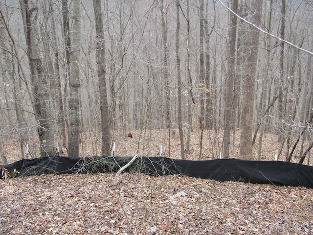 0 Bobcat Ln, Wilder, TN 38589 - photo 11