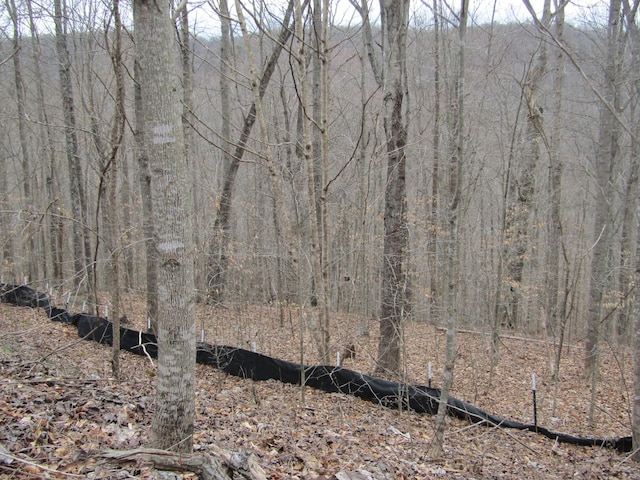 0 Bobcat Ln, Wilder, TN 38589 - photo 7