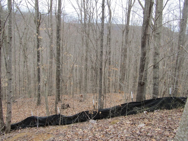 0 Bobcat Ln, Wilder, TN 38589 - photo 6