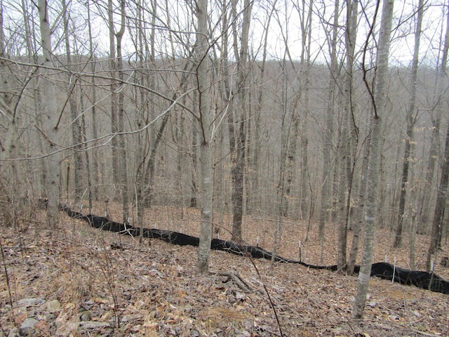 0 Bobcat Ln, Wilder, TN 38589 - photo 3