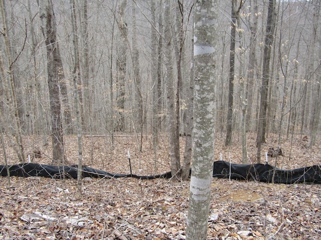 0 Bobcat Ln, Wilder, TN 38589 - photo 13