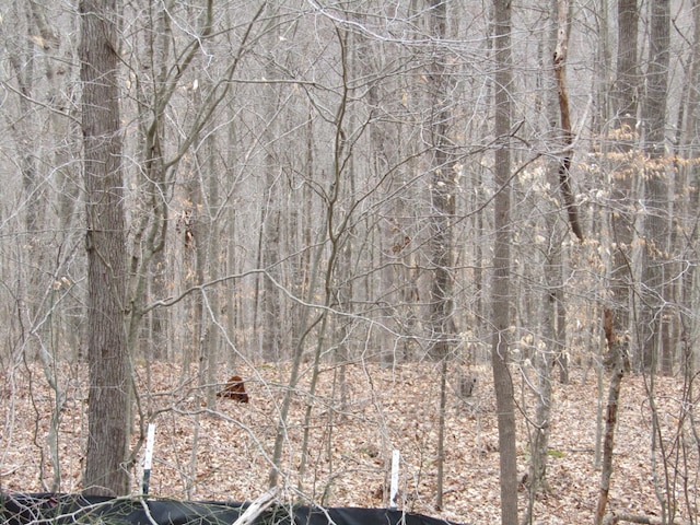 0 Bobcat Ln, Wilder, TN 38589 - photo 12