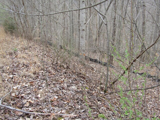 0 Bobcat Ln, Wilder, TN 38589 - photo 10